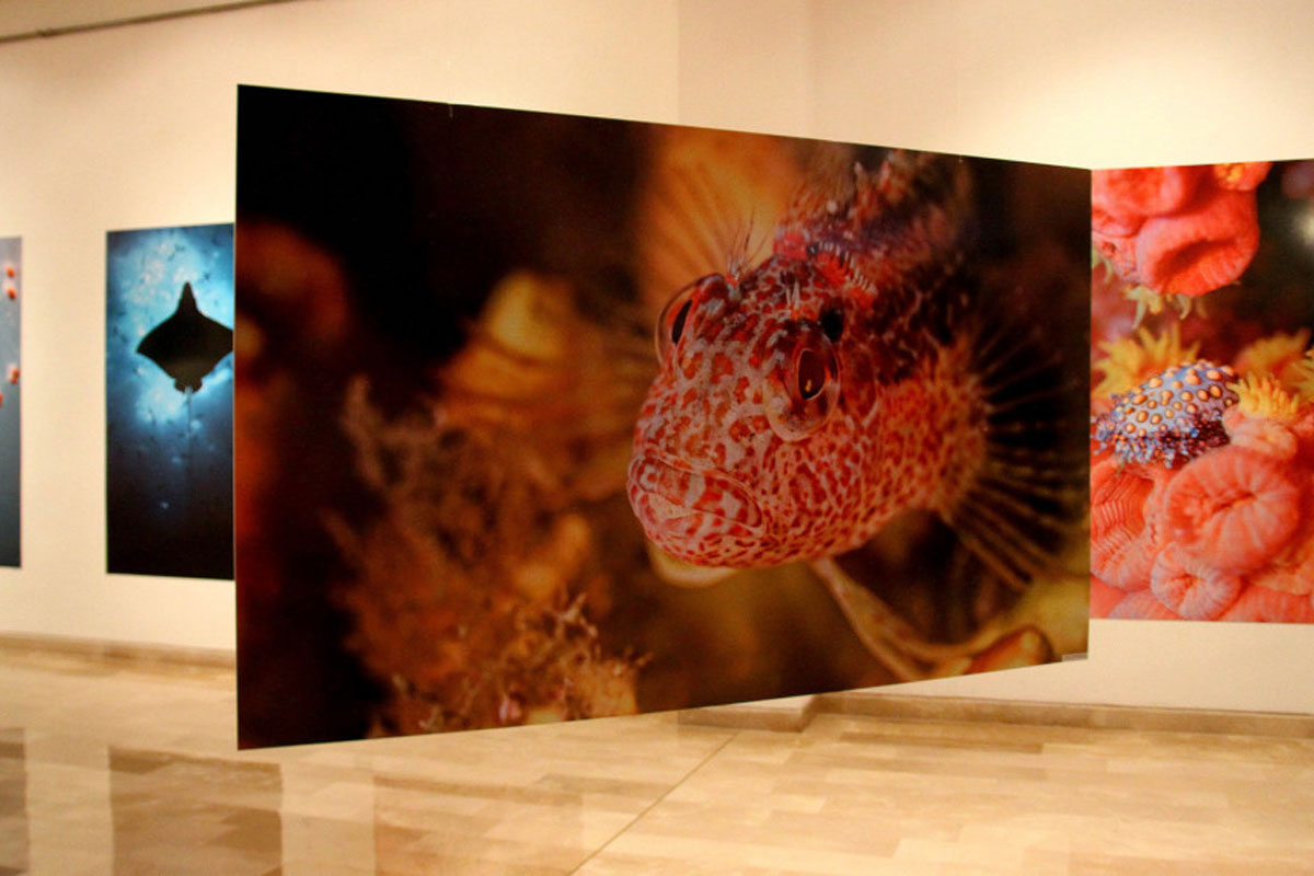 MAAC – Centro Cultural Simón Bolívar