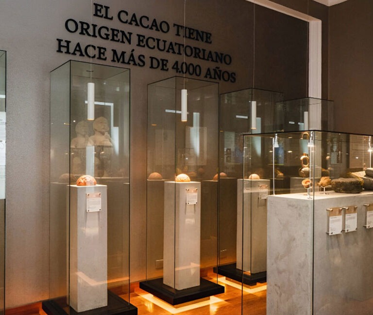 Guía cultural de Guayaquil - Museo del Cacao